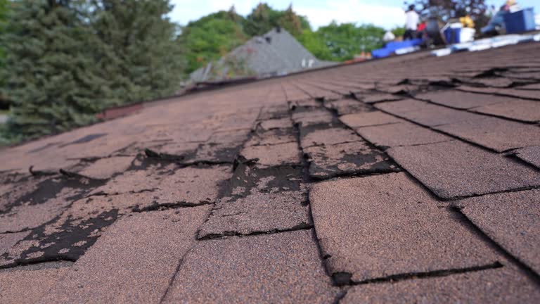 Best Roof Waterproofing  in Coatesville, PA